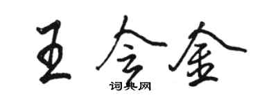 駱恆光王會金行書個性簽名怎么寫