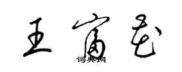 梁錦英王富花草書個性簽名怎么寫