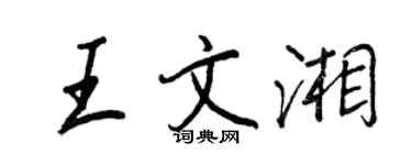 王正良王文湘行書個性簽名怎么寫