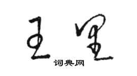 駱恆光王里草書個性簽名怎么寫