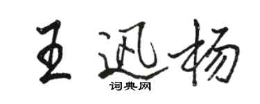駱恆光王迅楊行書個性簽名怎么寫