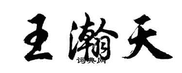 胡問遂王瀚天行書個性簽名怎么寫