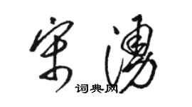 駱恆光宋涌草書個性簽名怎么寫