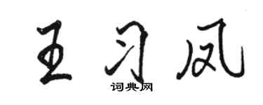 駱恆光王習鳳行書個性簽名怎么寫