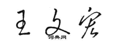 駱恆光王文宏草書個性簽名怎么寫