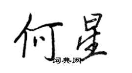 王正良何星行書個性簽名怎么寫