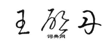 駱恆光王啟丹草書個性簽名怎么寫