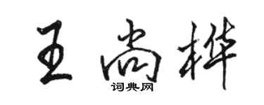 駱恆光王尚樺行書個性簽名怎么寫