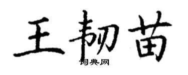 丁謙王韌苗楷書個性簽名怎么寫
