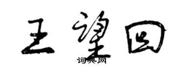 曾慶福王望回行書個性簽名怎么寫