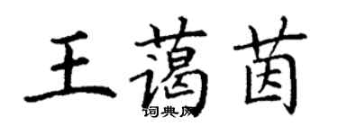 丁謙王藹茵楷書個性簽名怎么寫