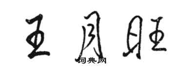 駱恆光王月旺行書個性簽名怎么寫