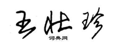 朱錫榮王壯珍草書個性簽名怎么寫