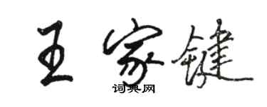 駱恆光王家鍵行書個性簽名怎么寫