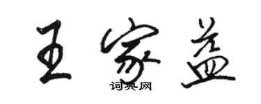 駱恆光王家益行書個性簽名怎么寫