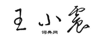 駱恆光王小震草書個性簽名怎么寫