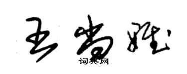 朱錫榮王尚雅草書個性簽名怎么寫
