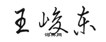 駱恆光王峻東行書個性簽名怎么寫