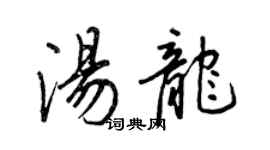 王正良湯龍行書個性簽名怎么寫