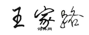 駱恆光王家路行書個性簽名怎么寫