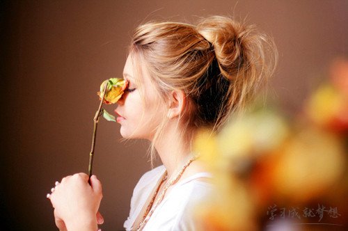 用拔樹尋根造句