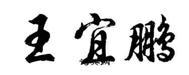 胡問遂王宜鵬行書個性簽名怎么寫