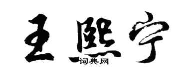 胡問遂王熙寧行書個性簽名怎么寫