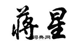 胡問遂蔣星行書個性簽名怎么寫