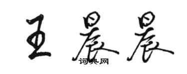 駱恆光王晨晨行書個性簽名怎么寫