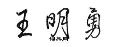 駱恆光王明勇行書個性簽名怎么寫