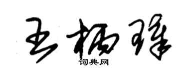 朱錫榮王柄璋草書個性簽名怎么寫