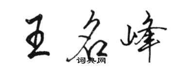 駱恆光王名峰行書個性簽名怎么寫
