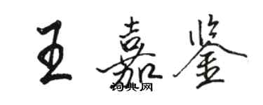 駱恆光王嘉鑒行書個性簽名怎么寫