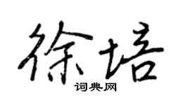 王正良徐培行書個性簽名怎么寫