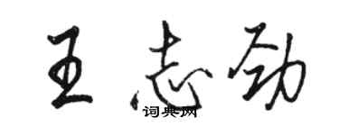 駱恆光王志勁行書個性簽名怎么寫