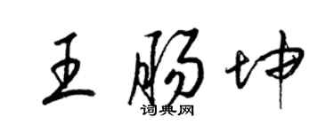 梁錦英王腸坤草書個性簽名怎么寫