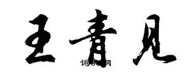 胡問遂王青見行書個性簽名怎么寫