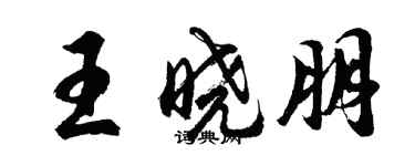 胡問遂王曉朋行書個性簽名怎么寫