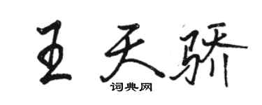 駱恆光王天驕行書個性簽名怎么寫