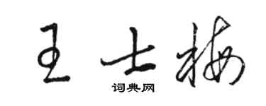 駱恆光王士梅草書個性簽名怎么寫