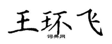 丁謙王環飛楷書個性簽名怎么寫