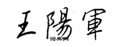 王正良王陽軍行書個性簽名怎么寫