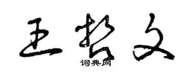 曾慶福王哲文草書個性簽名怎么寫