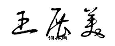 曾慶福王展美草書個性簽名怎么寫