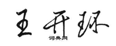 駱恆光王開環行書個性簽名怎么寫