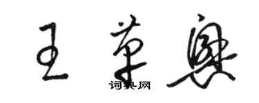 駱恆光王革興草書個性簽名怎么寫