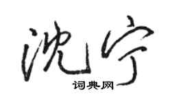 駱恆光沈寧行書個性簽名怎么寫