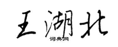 王正良王湖北行書個性簽名怎么寫