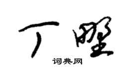 朱錫榮丁野草書個性簽名怎么寫