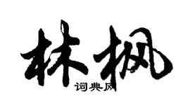 胡問遂林楓行書個性簽名怎么寫